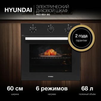 Детальное фото товара: Hyundai HEO 6631 BG
