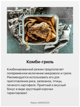 Детальное фото товара: Hansa AMGB20E2GX