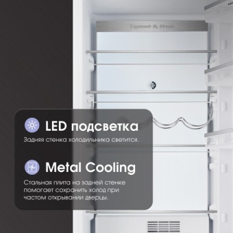 Детальное фото товара: Zigmund & Shtain BR 06 X