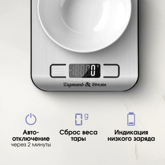 Детальное фото товара: Zigmund & Shtain DS-122