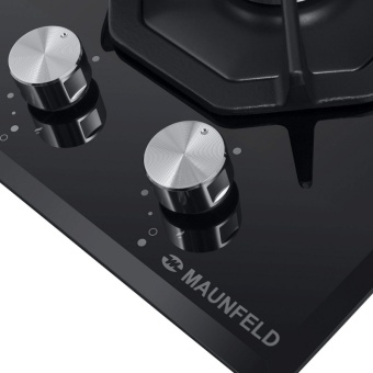 Детальное фото товара: Maunfeld EGHG.32.2CB/G