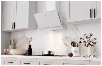 Детальное фото товара: Franke TEMPER 60 WH