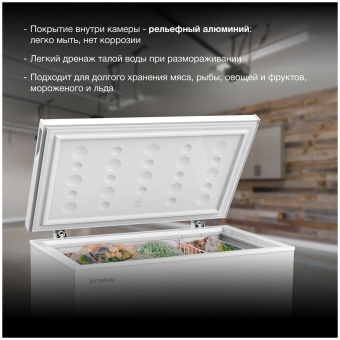 Детальное фото товара: Hyundai CH25031